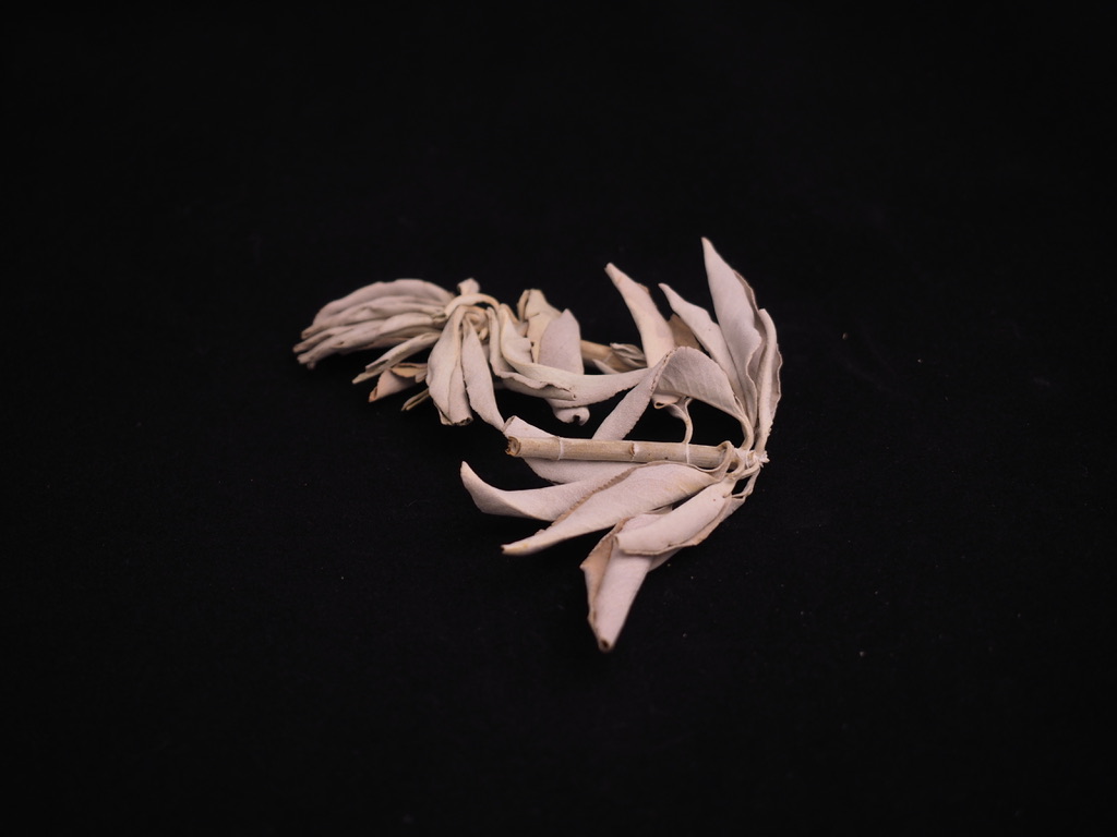 Sachet de Sauge Blanche Californie Feuilles - 25g