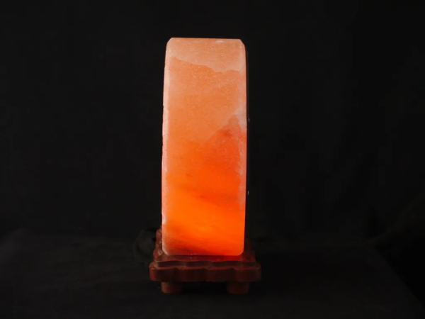 Lampe fleur de vie en cristal de sel de profil sur fond noir