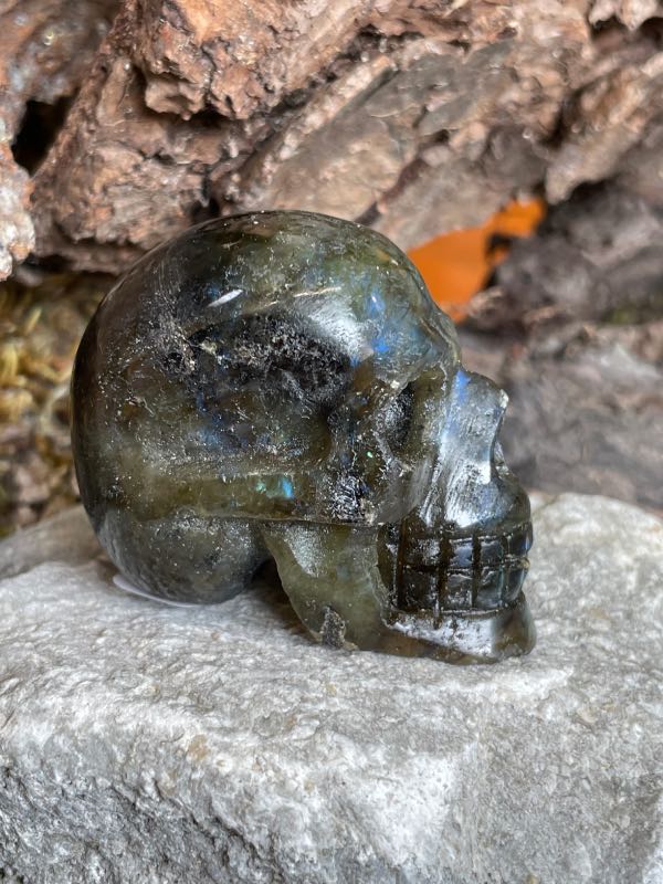 Crâne en pierre labradorite posée sur une pierre blanche. Photo prise de profil droit