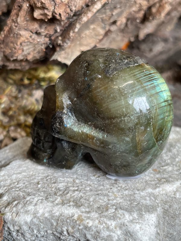 Crâne en pierre labradorite posée sur une pierre blanche. Photo prise de profil gauche arrière